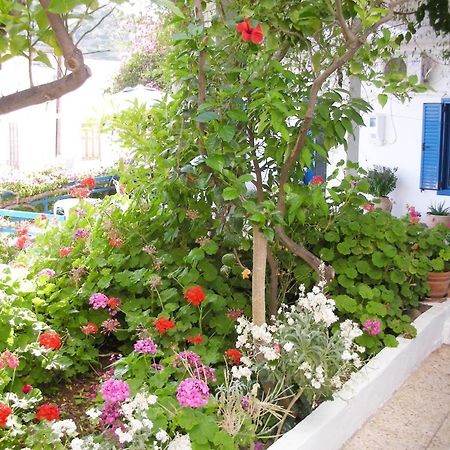 Hotel Hariklia Agia Galini Dış mekan fotoğraf